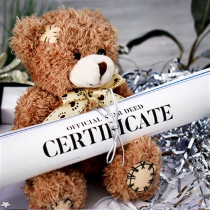 Personalised Name A Star with Teddy Gift Box product image