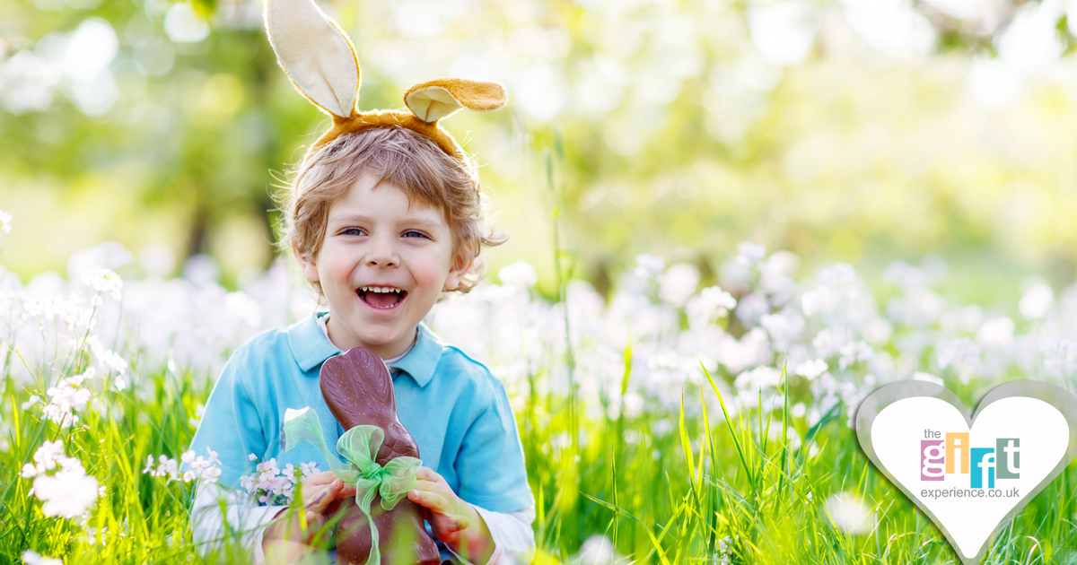 A little boy in a field eating an chocolate easter bunny