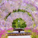 Entrance to The RHS Gardens for Two