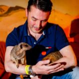 Meerkat and Lemur Experience for Two