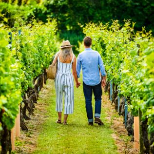 Tour and Tasting for Two at Chapel Down Vineyard Product Image