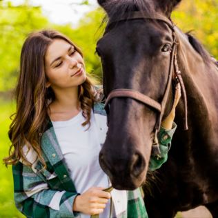 2 Hour Private Meditation Session with Horses for Two Product Image
