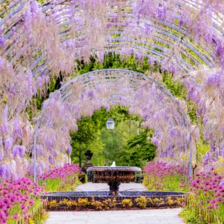 Entrance to The RHS Gardens for Two Product Image