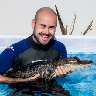 Swimming with Crocodiles for Two & Lunch Product Image