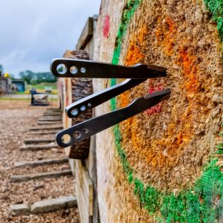 Knife Throwing Experience Product Image