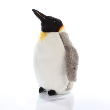 Percy the Penguin | The Gift Experience