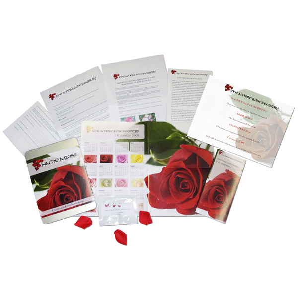 Name A Rose Gift Tin The Gift Experience