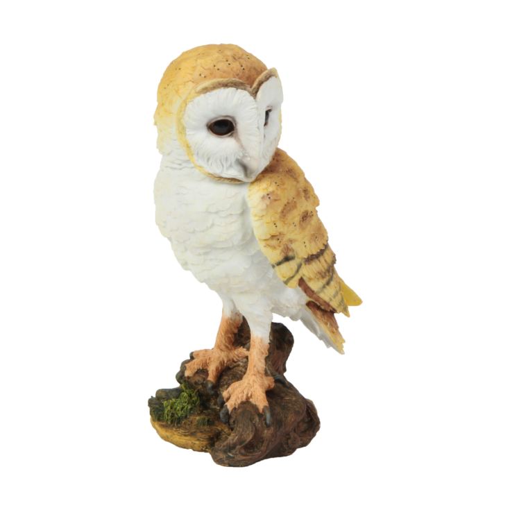 Naturecraft Collection Resin Figurine - Owl | The Gift Experience