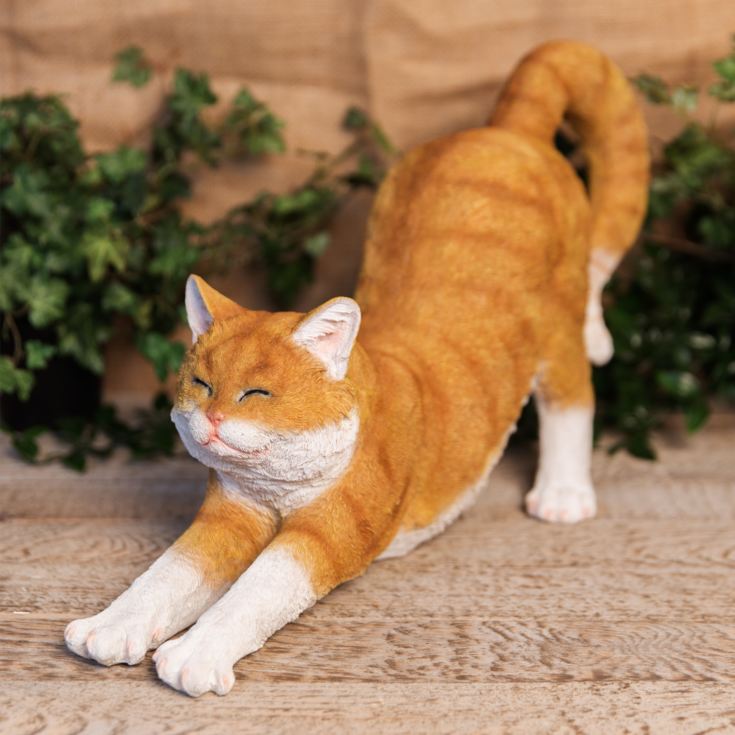 Best of Breed Collection - Ginger & White Cat Figurine product image