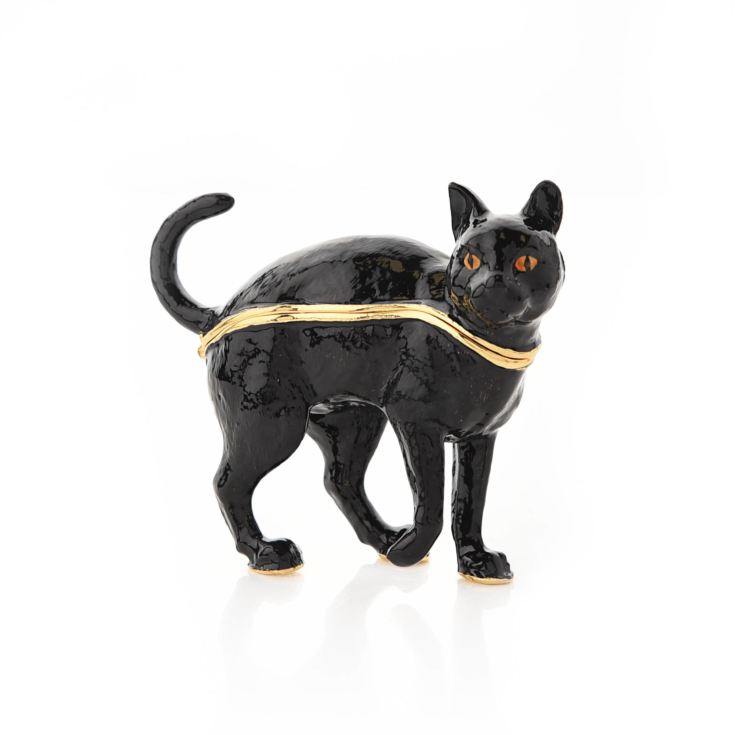 Treasured Trinkets - Black Cat product image