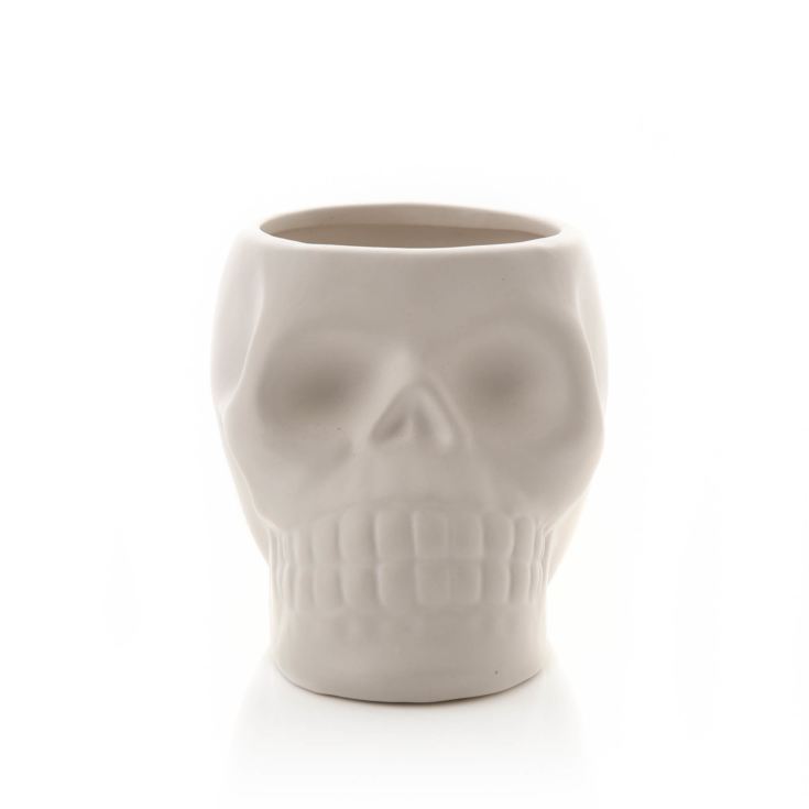 White Skull Plant Pot product image