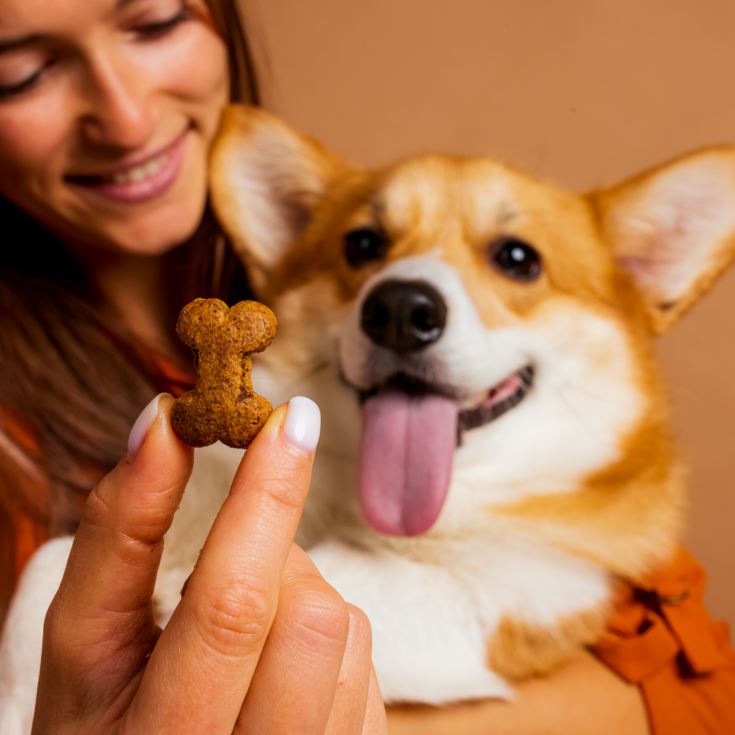 3 Month Dog Treat Subscription product image