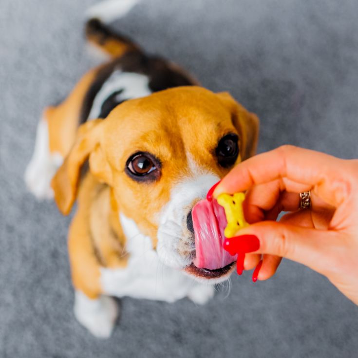 3 Month Dog Treat Subscription product image