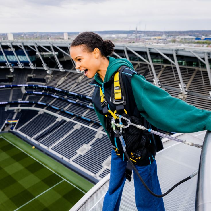 The Tottenham Hotspur Stadium Dare Skywalk product image