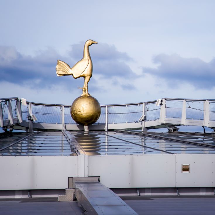 The Tottenham Hotspur Stadium Dare Skywalk product image