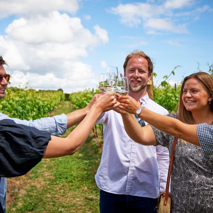 Tour and Tasting for Two at Chapel Down Vineyard product image