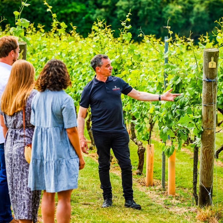 Tour and Tasting for Two at Chapel Down Vineyard product image