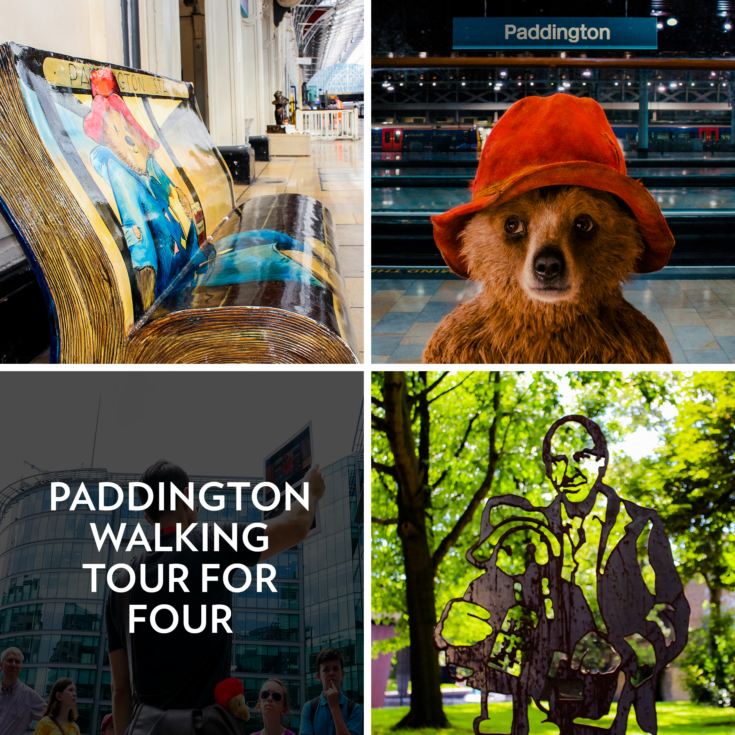 Paddington Walking Tour for Four product image