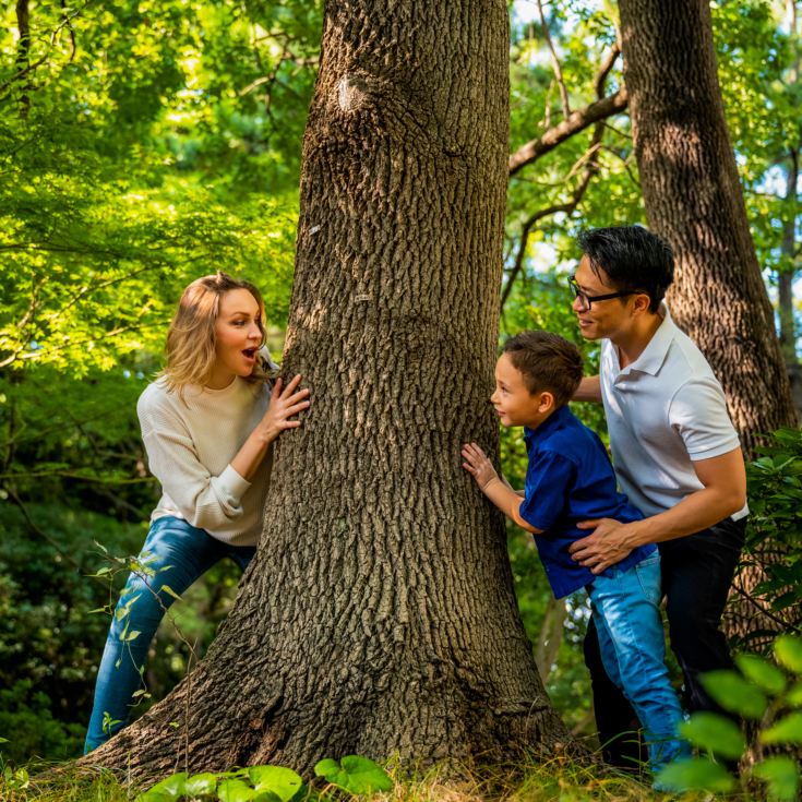 Two Night Glamping Pod Escapes at Sherwood Forest product image