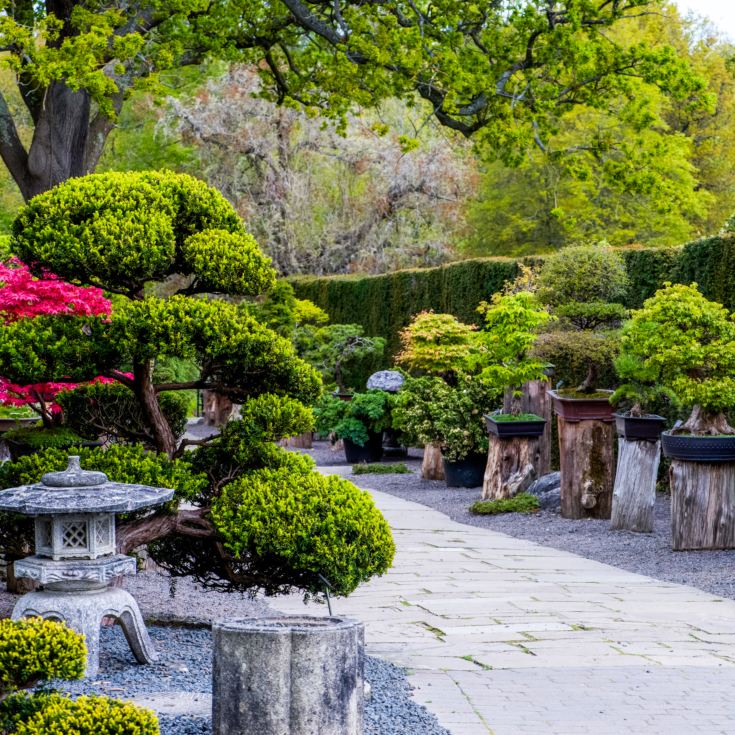 Entrance to The RHS Gardens for Two product image