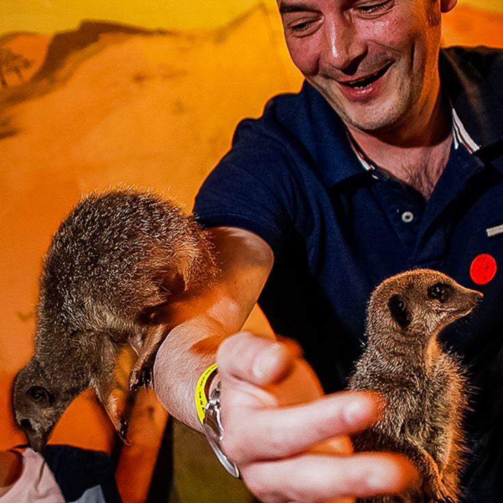 Meerkat and Lemur Experience for Two product image