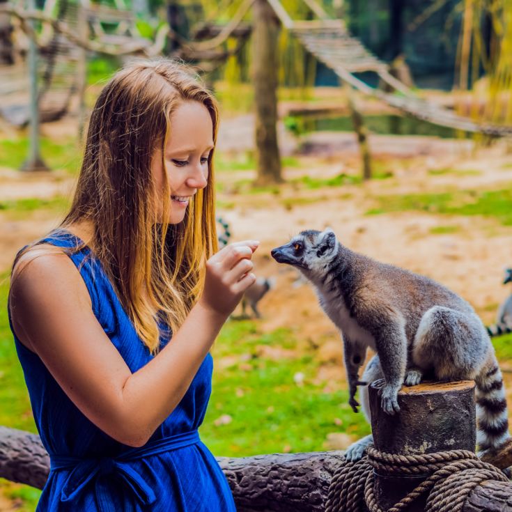 Meerkat and Lemur Experience for Two product image