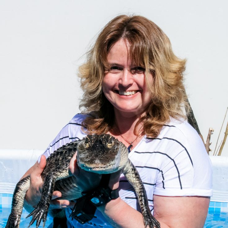 Swimming with Crocodiles for Two & Lunch product image