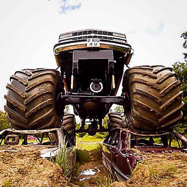 Monster Truck Driving product image