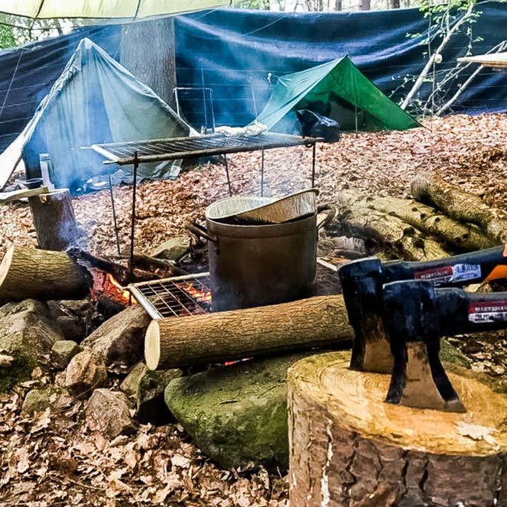 Bushcraft Experience with Wild Survivor product image