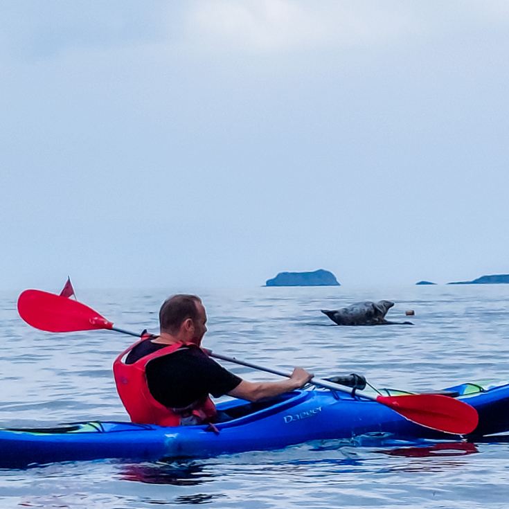 Sea Kayak Sunset Tour & Wild Food product image