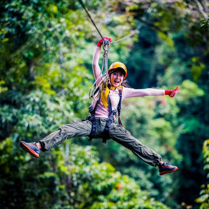 High Ropes and Zip Wire for Four product image