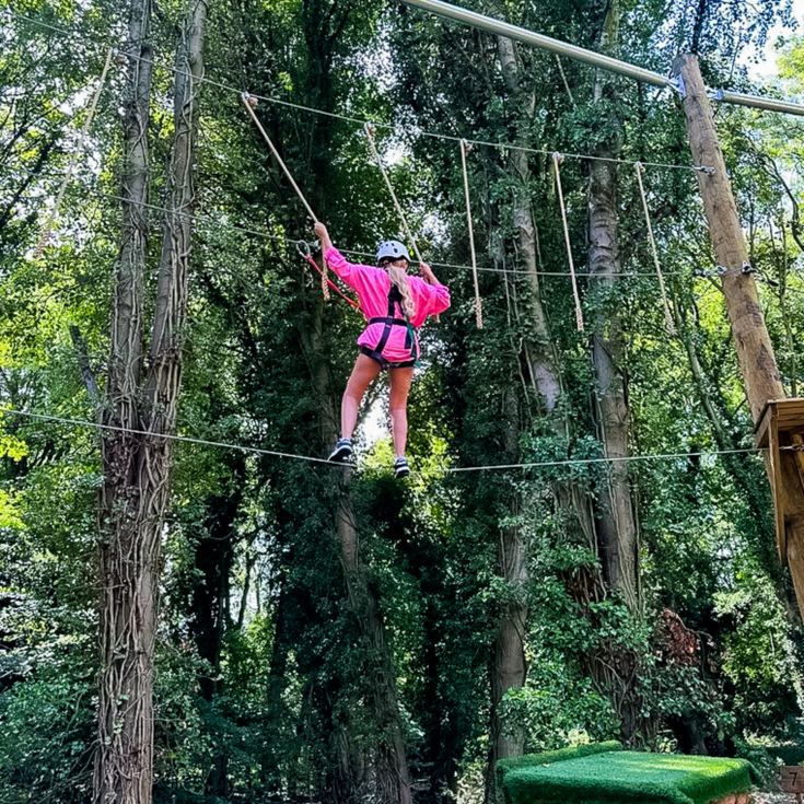 High Ropes and Zip Wire for Four product image