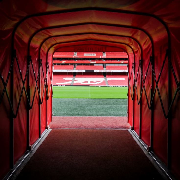 Adult Tour of the Emirates Stadium for Two product image