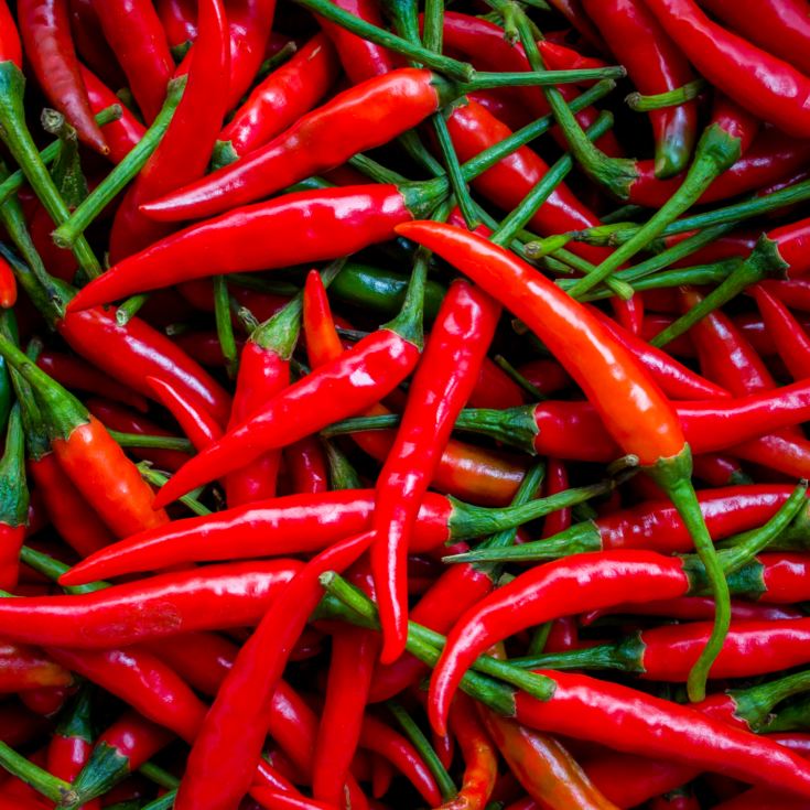 Chilli Experience for Two product image