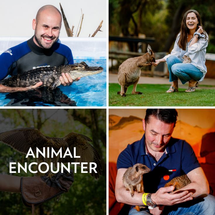 Animal Encounter product image