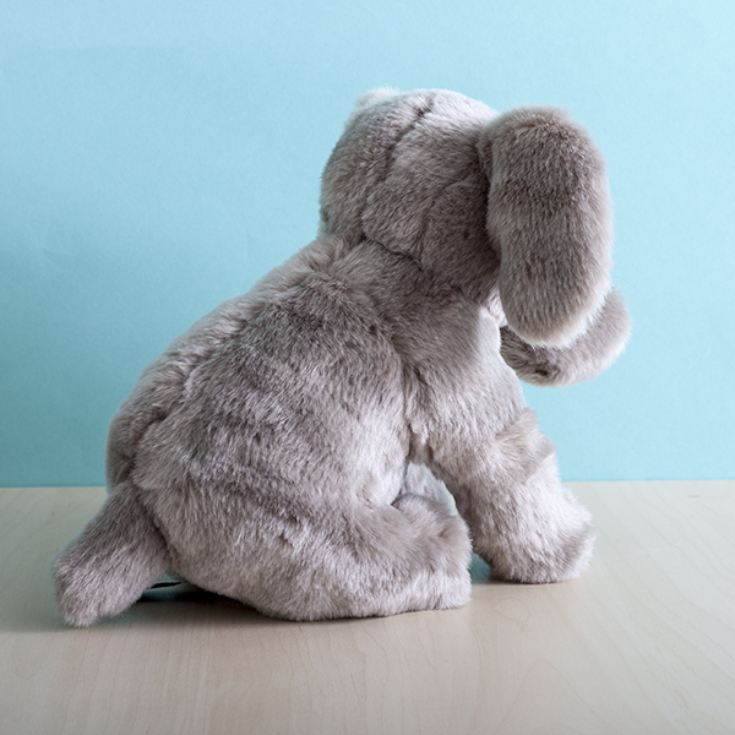 Elephant Soft Toy | The Gift Experience