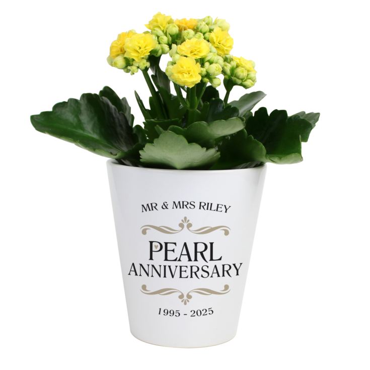 Personalised Pearl Wedding Anniversary Plant Pot product image