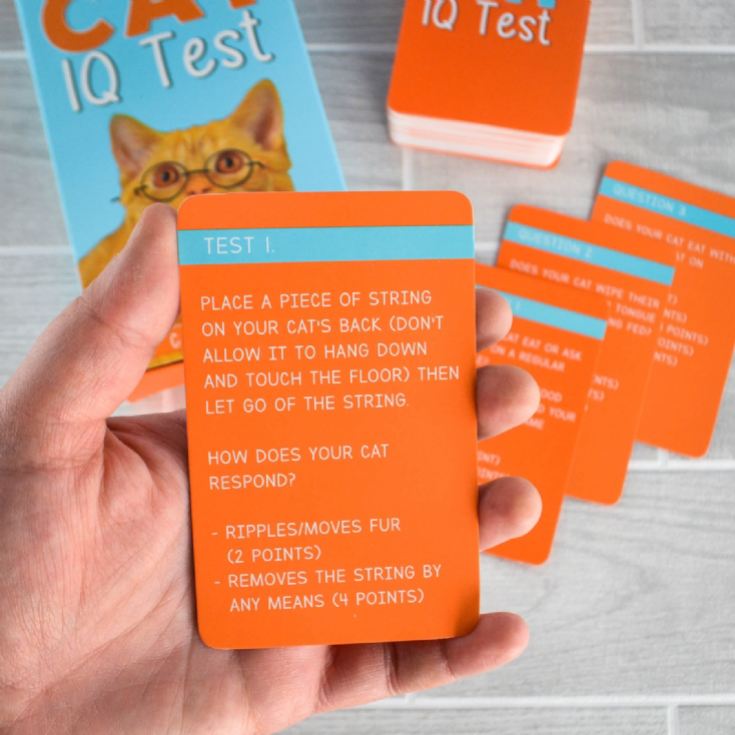 Cat IQ Test product image