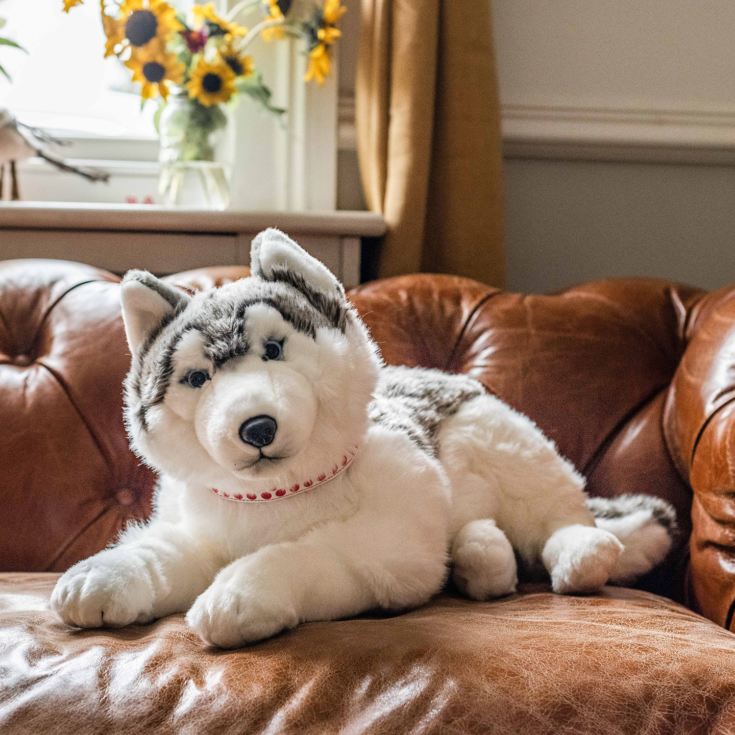 life size husky teddy