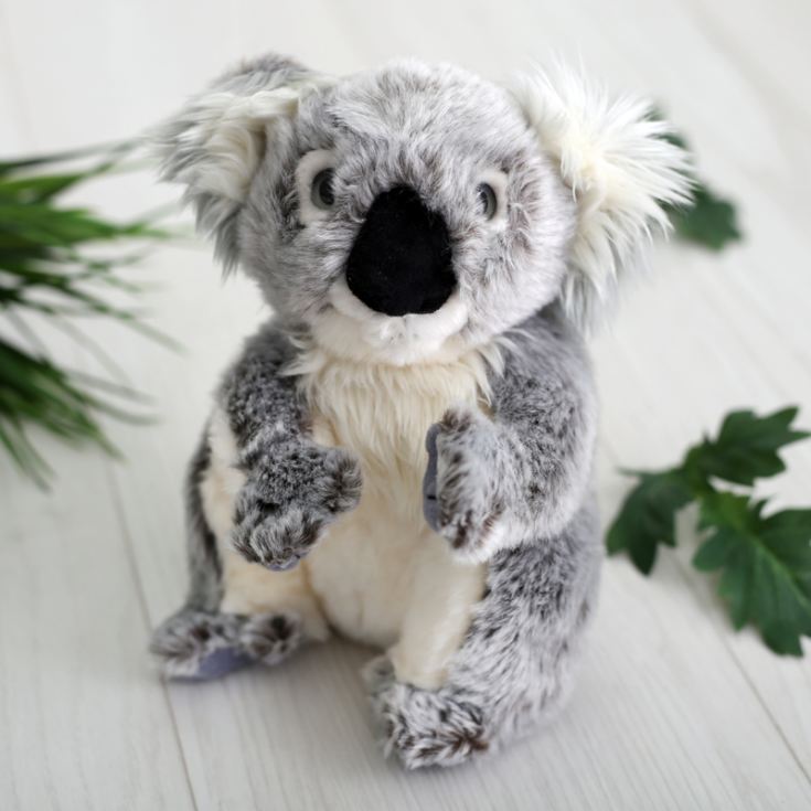 koala bear doll