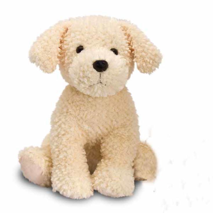 Cream Labrador Soft Toy | The Gift Experience