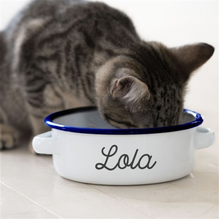 Personalised enamel cheap dog bowl