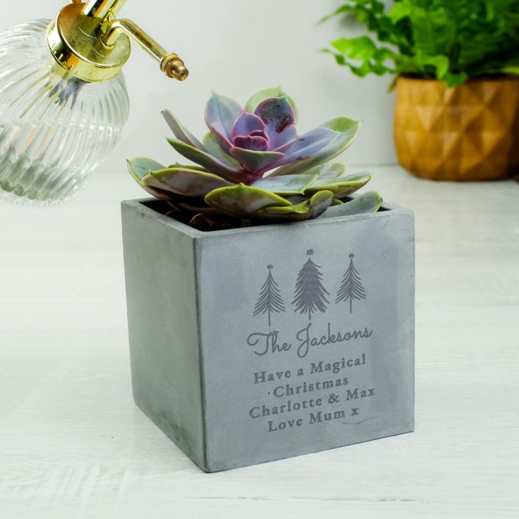 Personalised Christmas Tree Concrete Planter product image