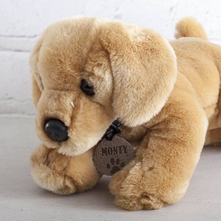 Honey Labrador Soft Toy | The Gift Experience