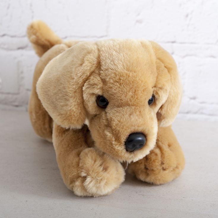 Honey Labrador Soft Toy | The Gift Experience