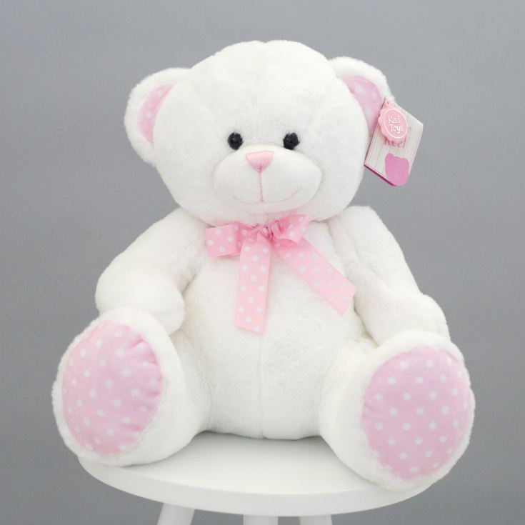 baby girl pink teddy bear