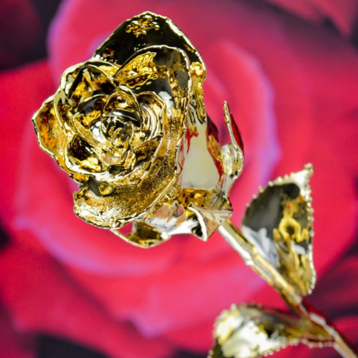 24k Gold Rose | The Gift Experience