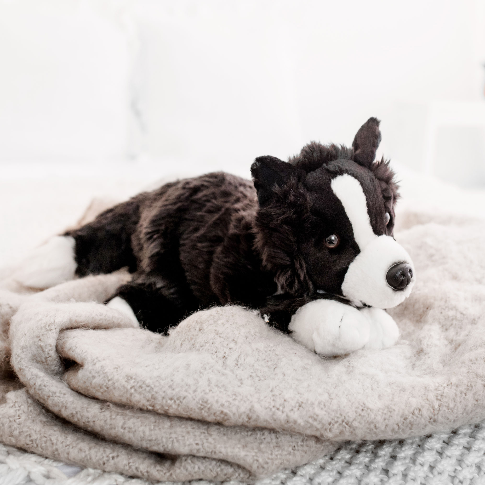 border collie soft toy uk